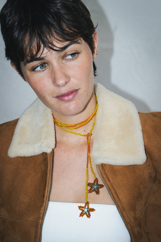 ESTRELAS CAMALEÃO 103