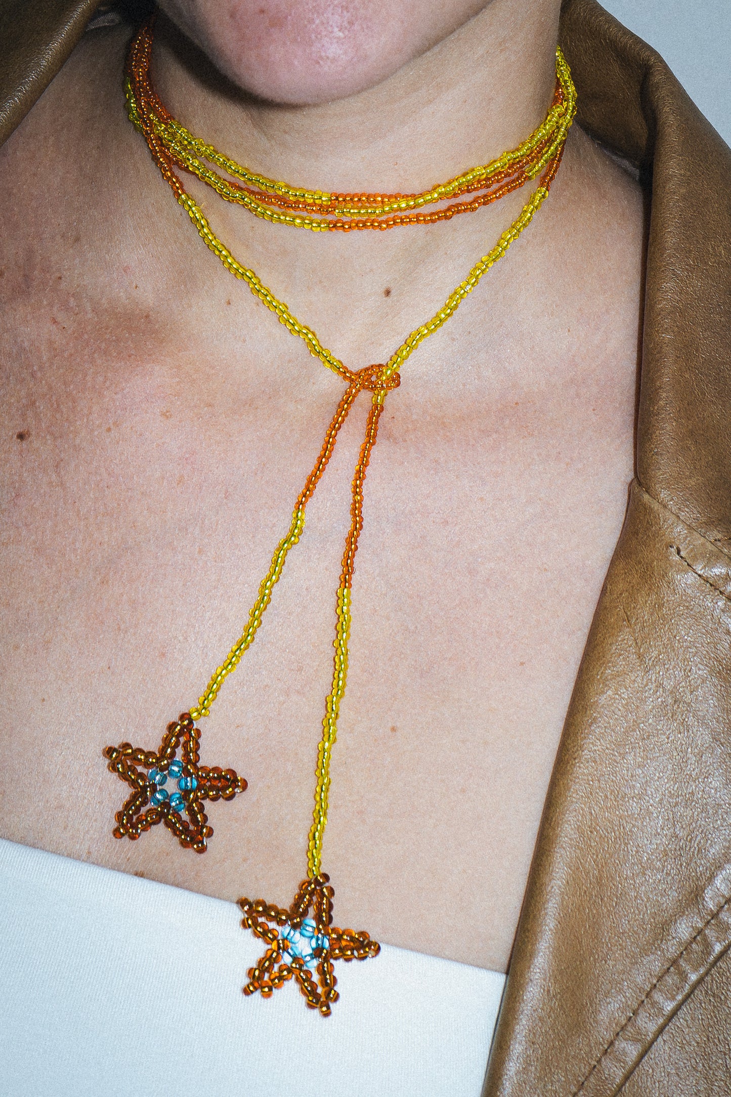 ESTRELAS CAMALEÃO 103