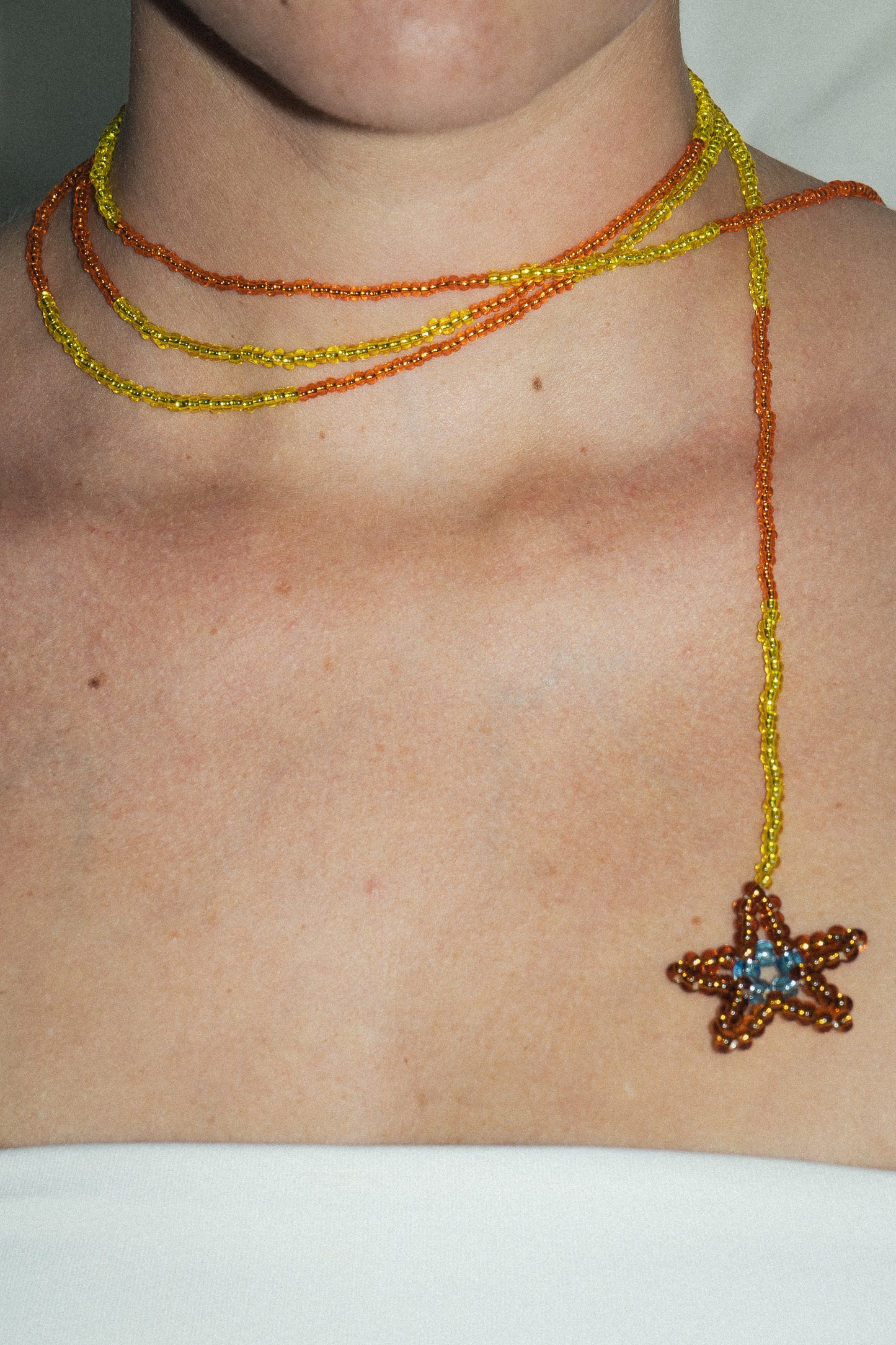 ESTRELAS CAMALEÃO 103