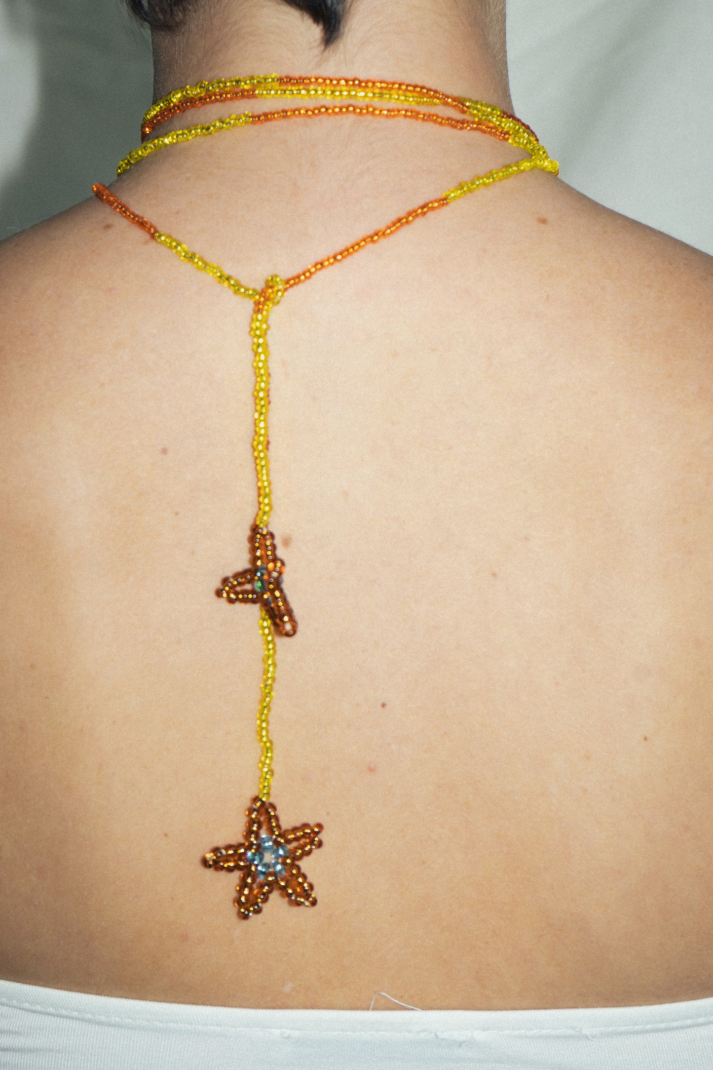 ESTRELAS CAMALEÃO 103