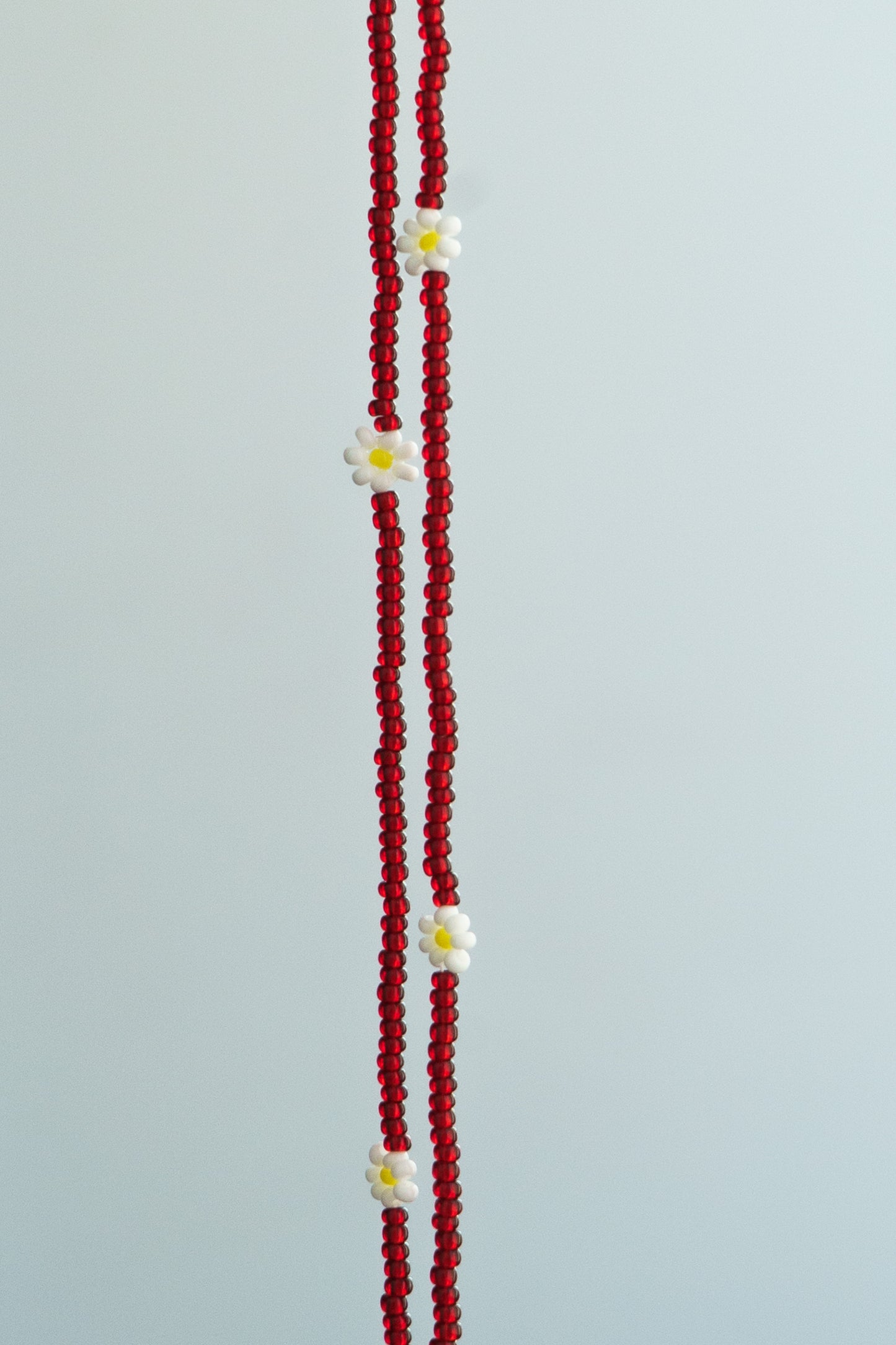 FLORES CAMALEÃO 201