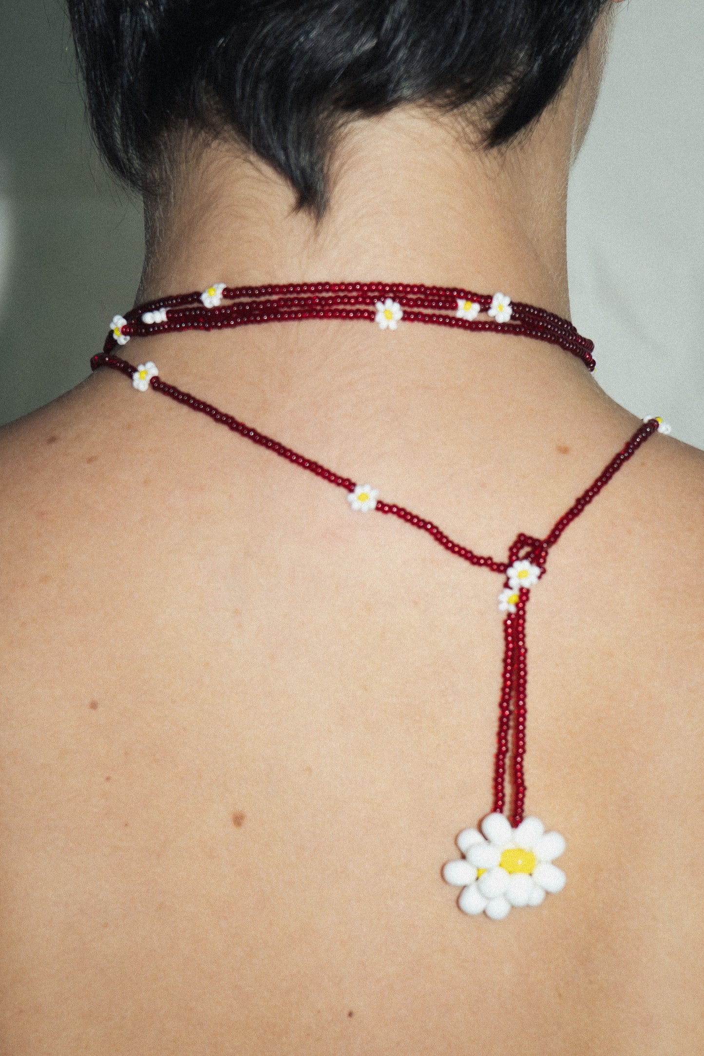 FLORES CAMALEÃO 201